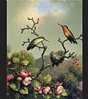 Martin Johnson Heade Famous Paintings - Ruby Throat of North America